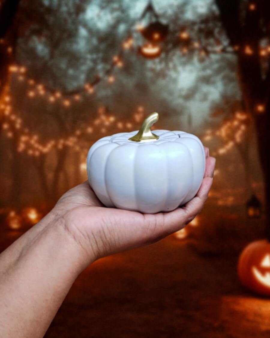 contenedor de concreto en forma de craneo