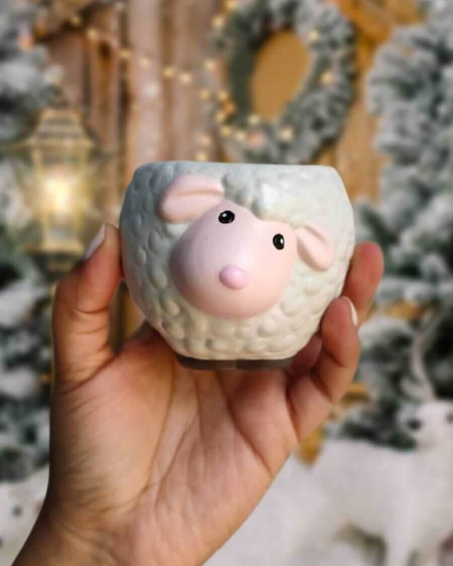 contenedor de concreto en forma de craneo